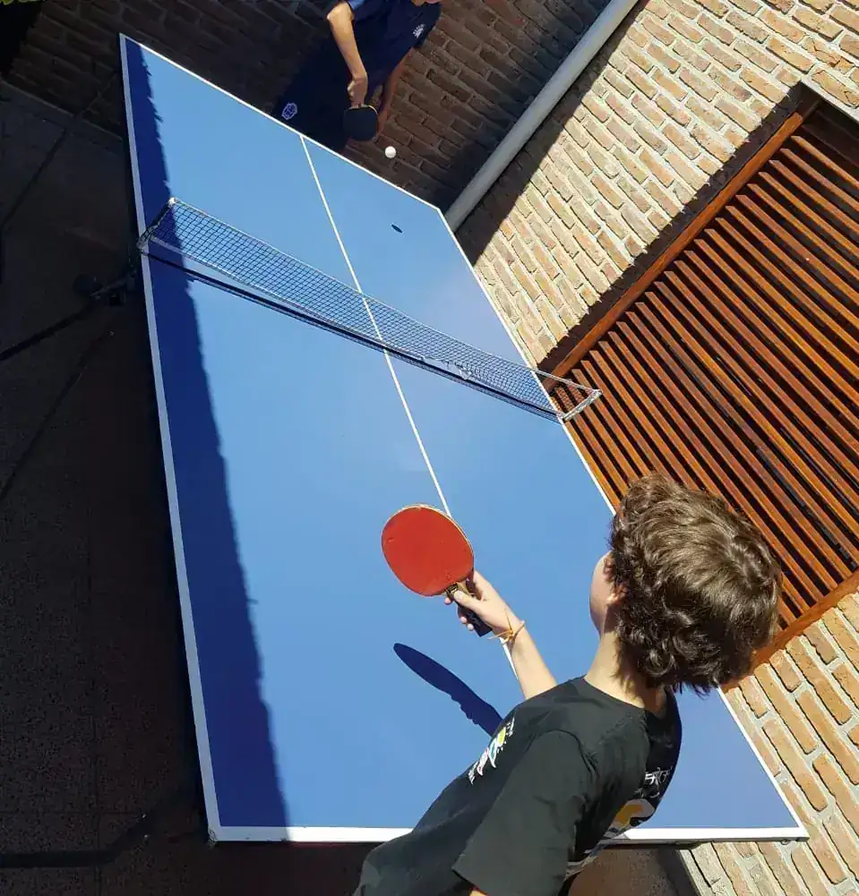 PING PONG PROFESIONAL