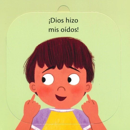 Para que son los oidos 3