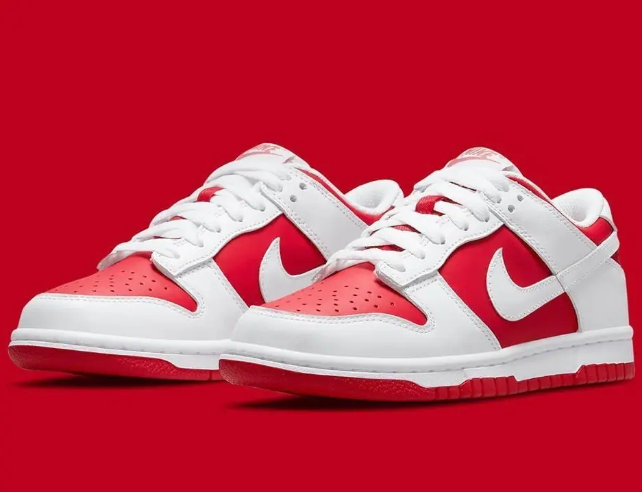 NIKE SB DAMA AAA 2