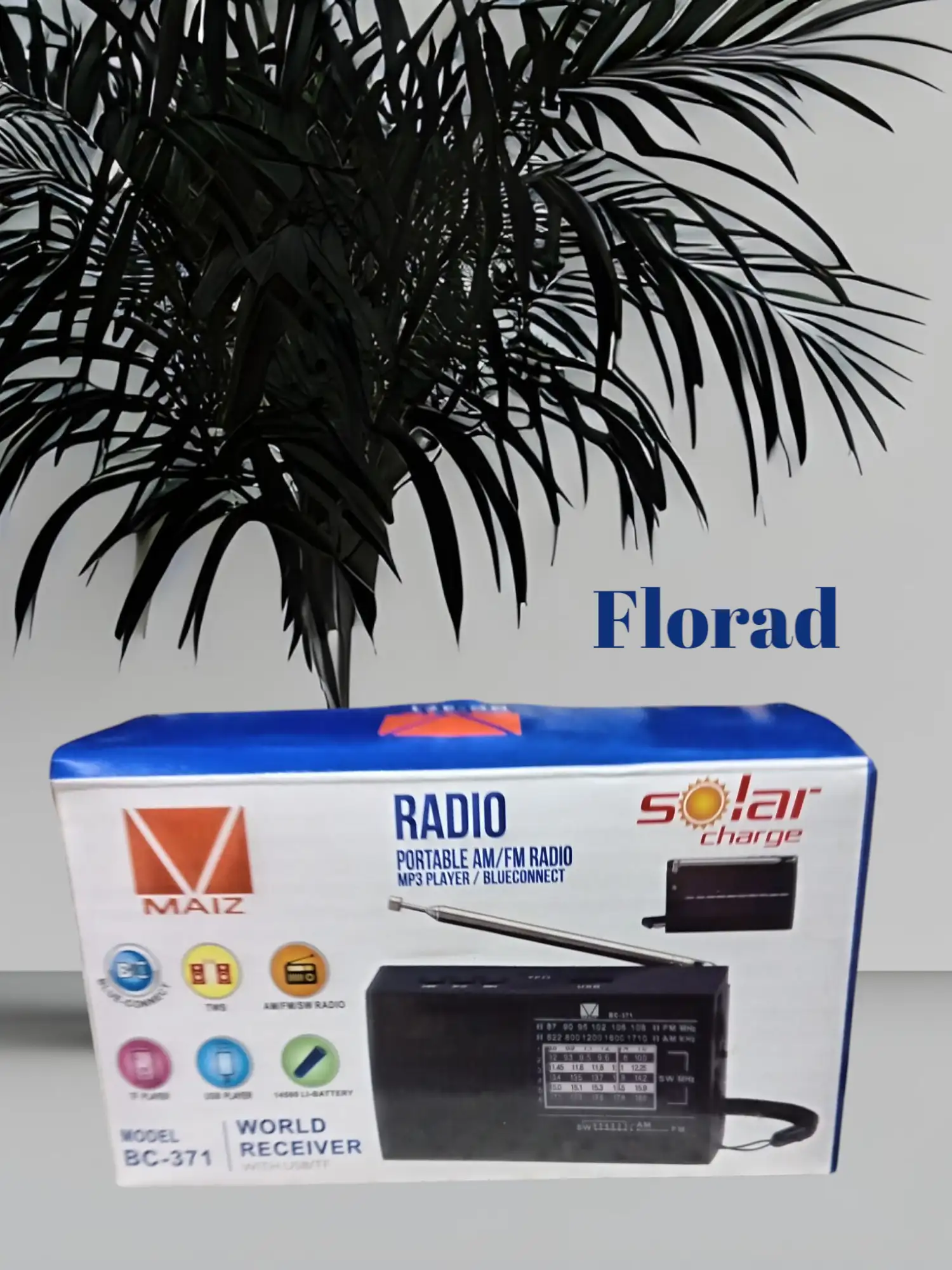 Radio bocina