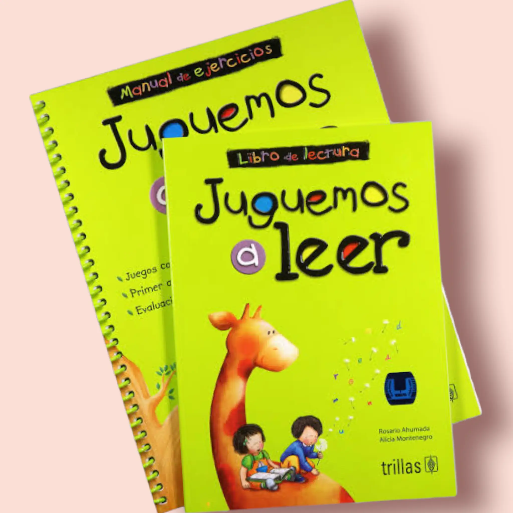 Juguemos a Leer