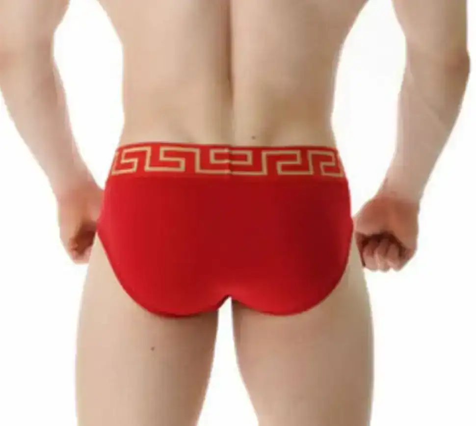 Trusa  caballero  3