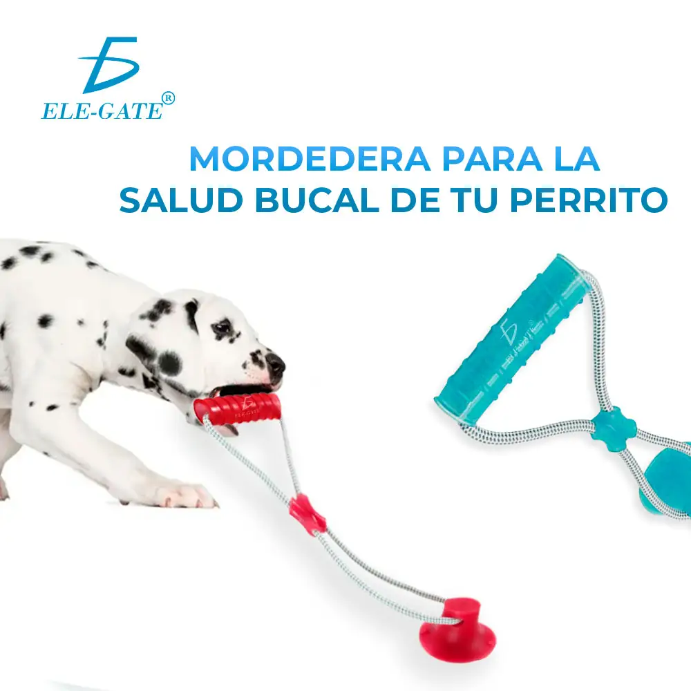 Juguete Interactivo Mordedera Para Perros  3