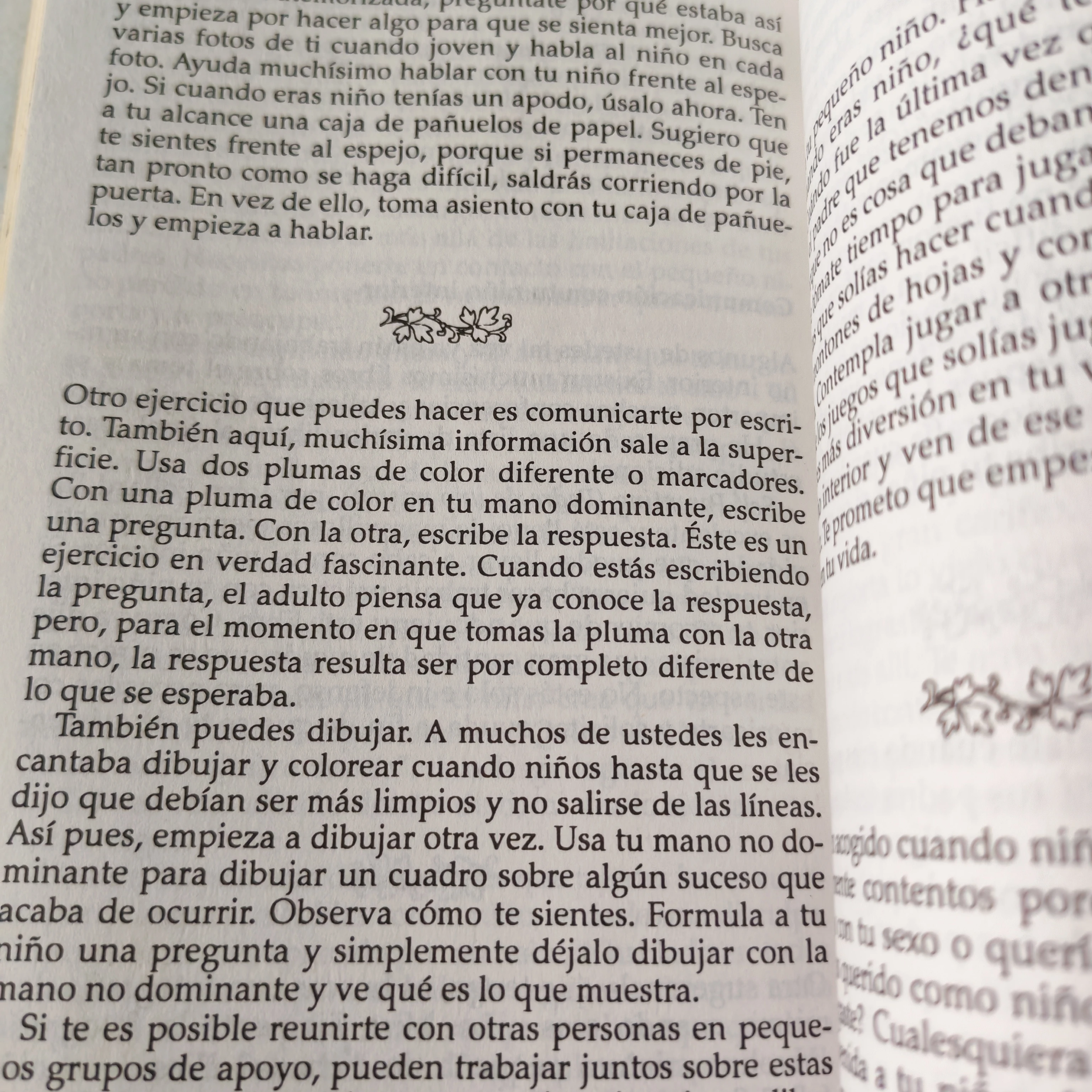 El poder está dentro de ti, Louise L. Hall, usado  3