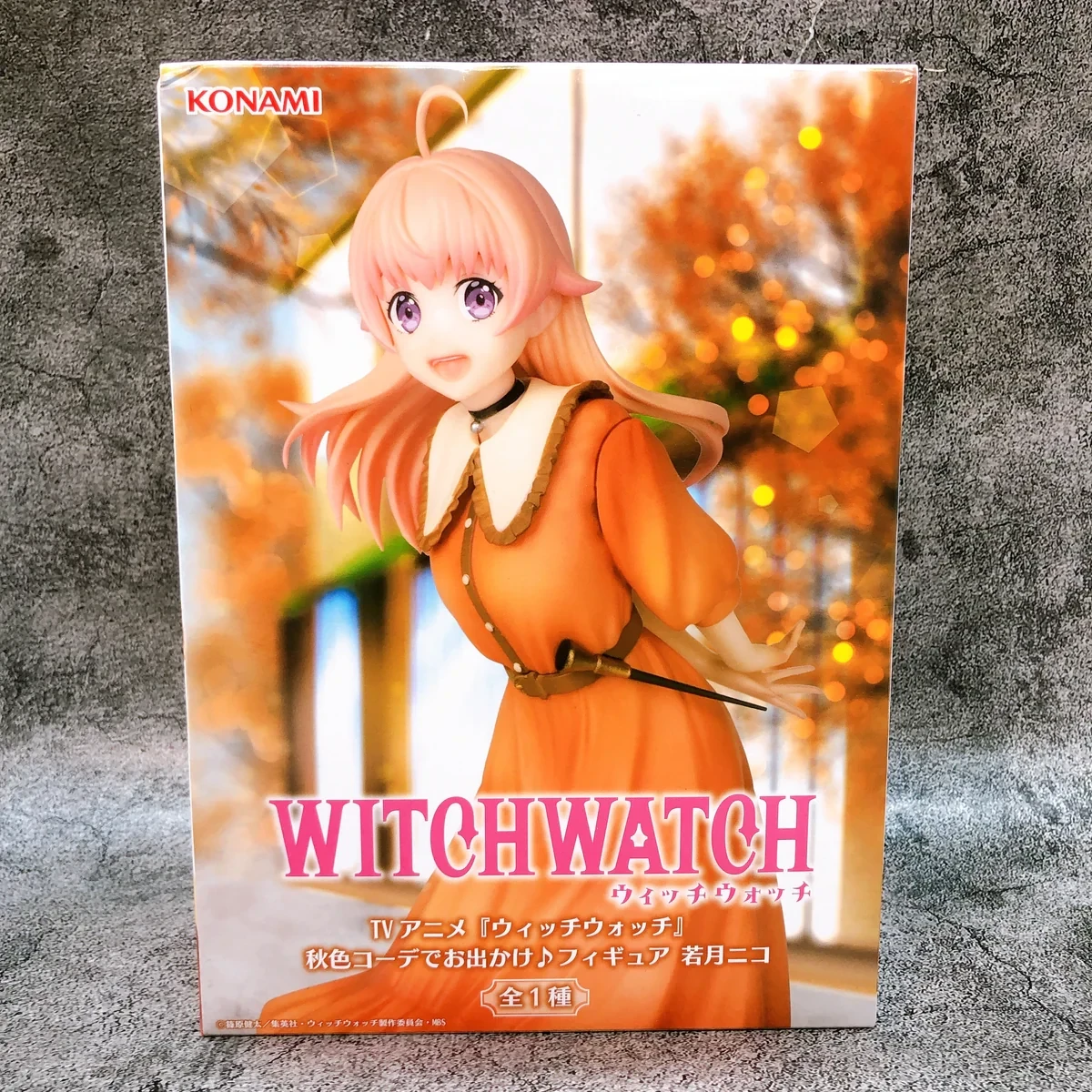 Nico Wakatsuki Atumn Color Outfit