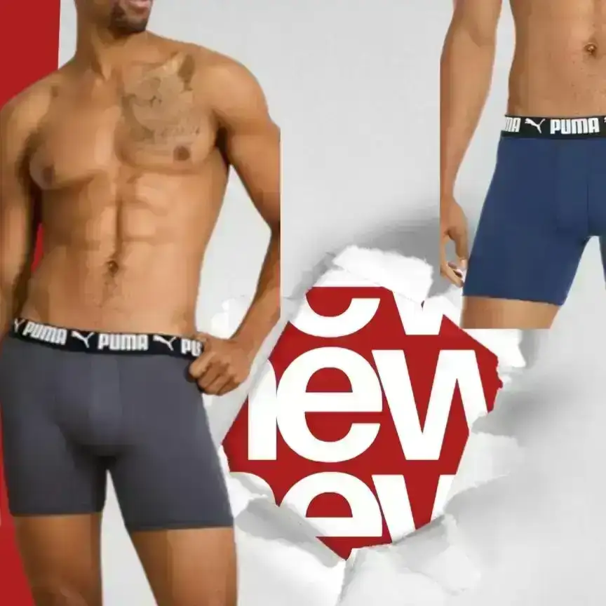 Boxer puma