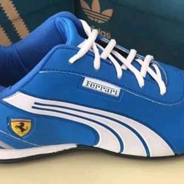 Puma  4
