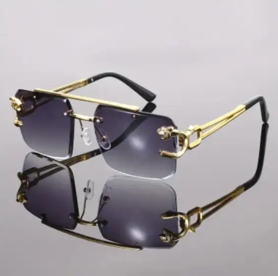 Lentes de Moda  2