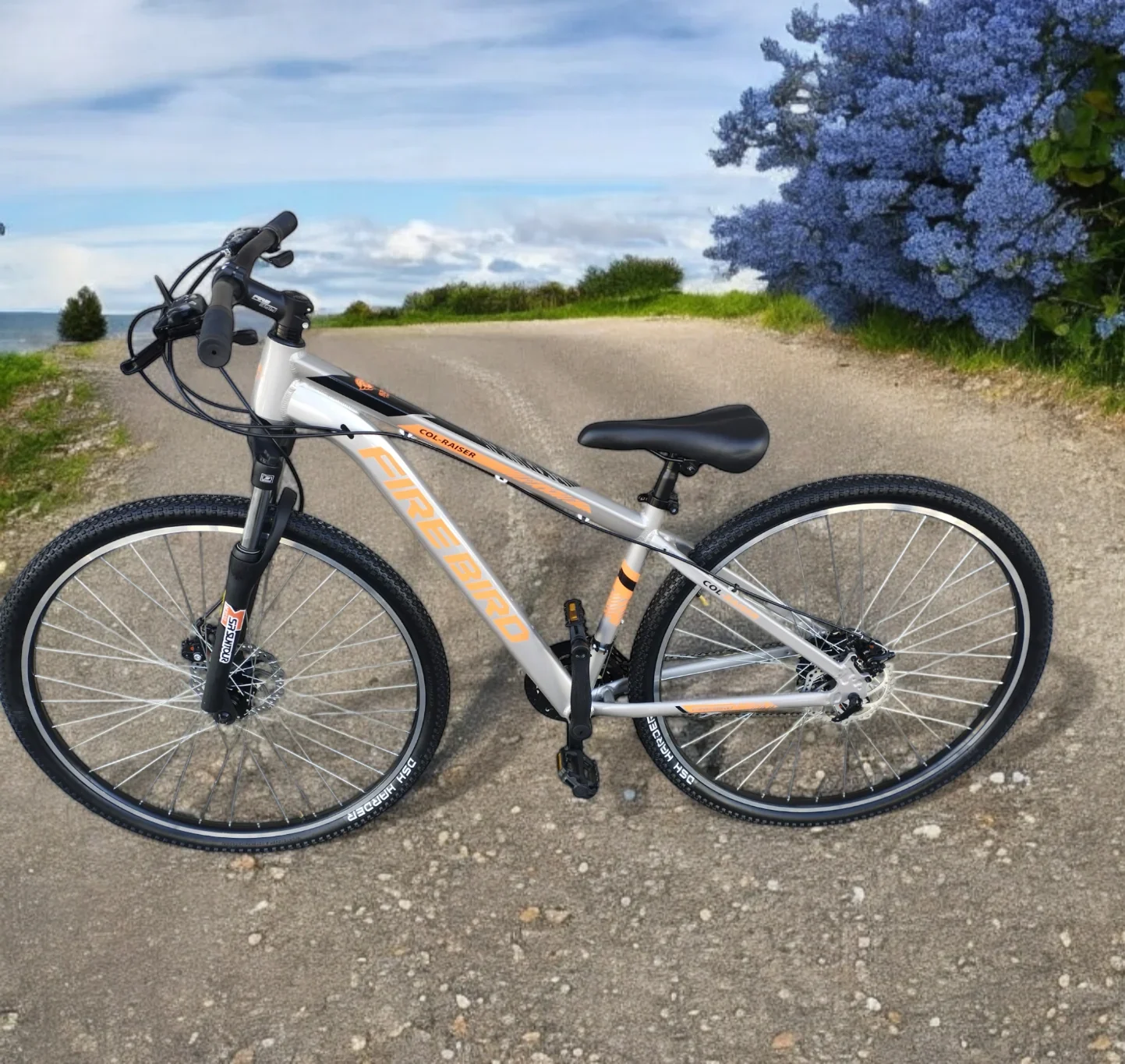 Bicicleta FIREBIRD Rod. 29 Gris/Naranja