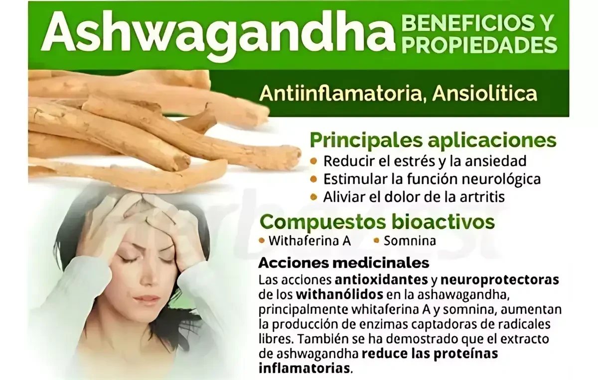 ASHWAGANDHA Sin estrés Cortisol  2