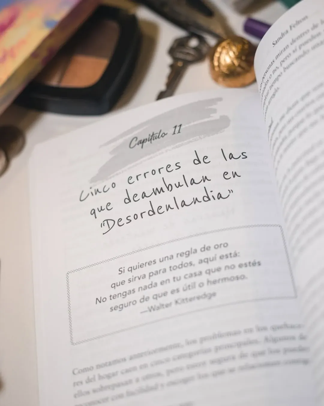 Nuevo manual del ama de casa desordenada 2