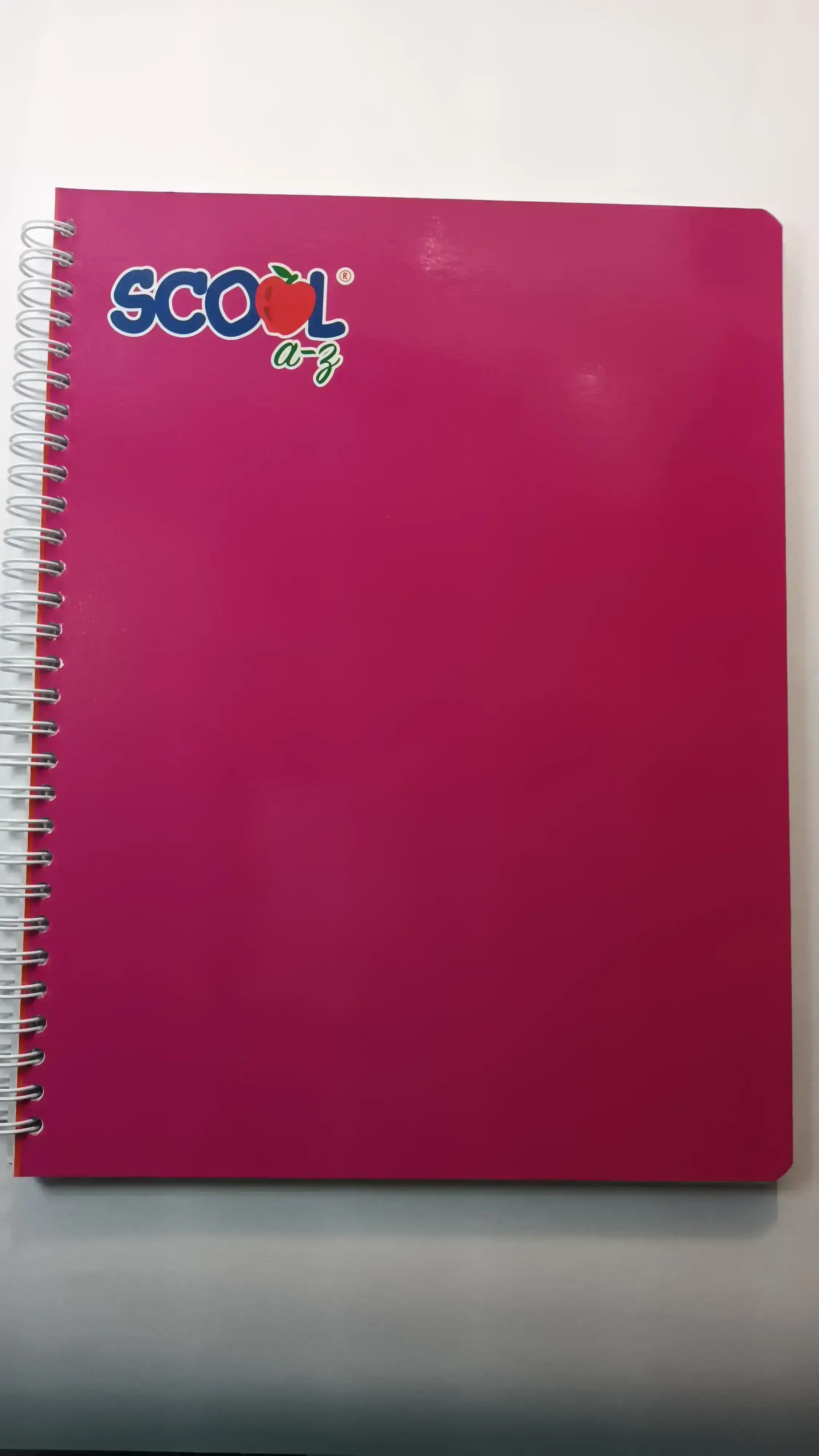 CUADERNO PROFESIONAL SCOOL DOBLE ESPIRAL 100H