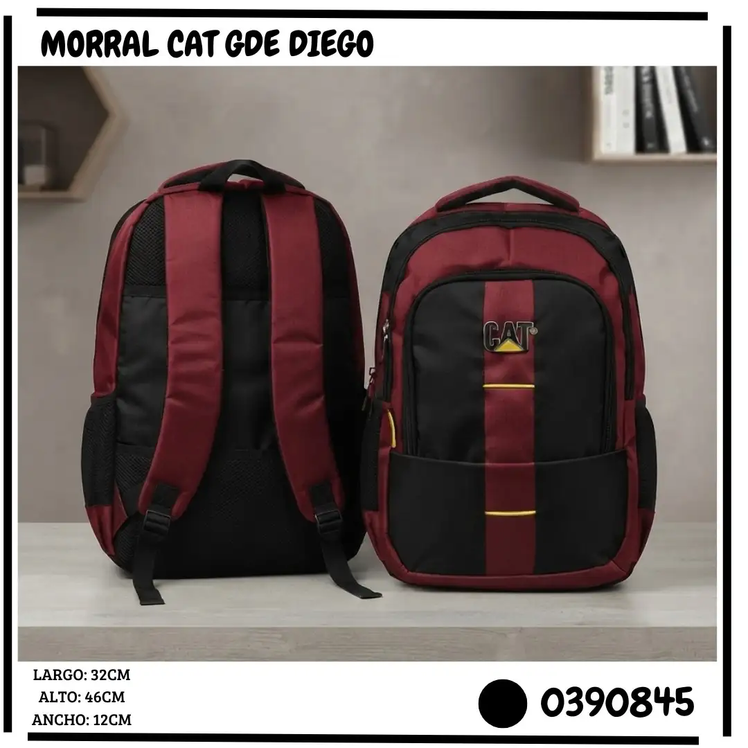 Morral Cat GDE 2
