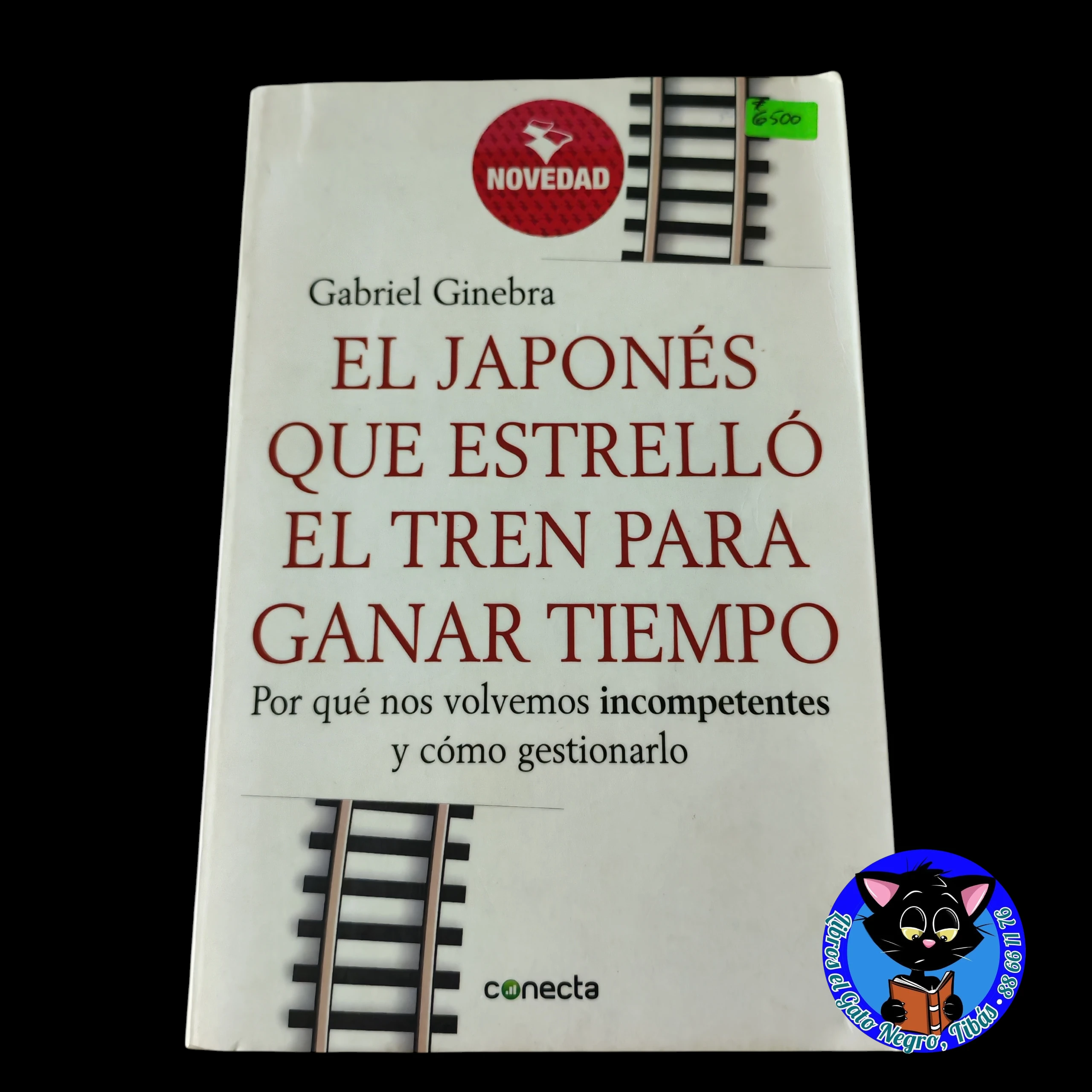 El japonés nes que estrelló el tren para ganar tiempo, Gabriel Ginebra