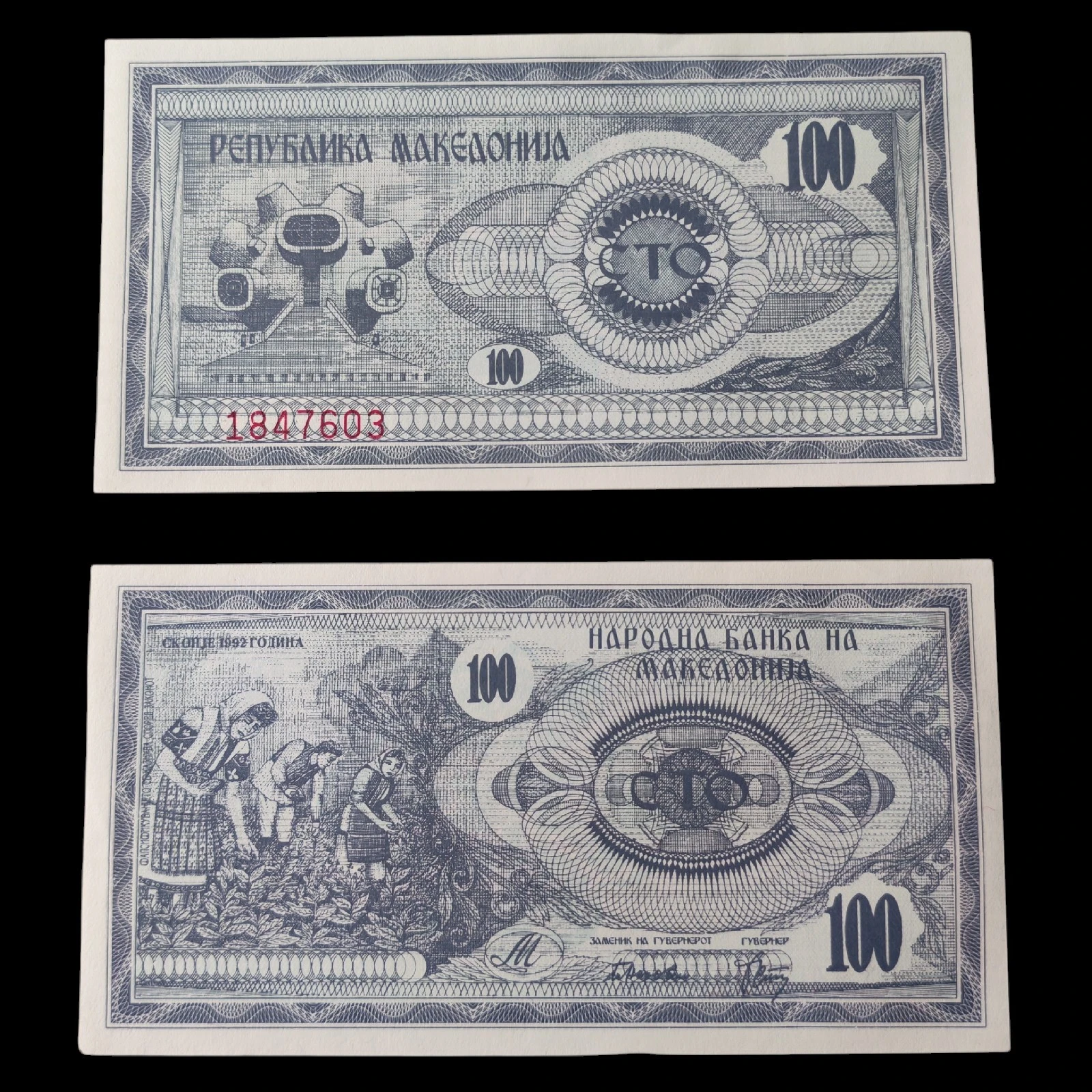 ° Macedonia 100 Denari UNC