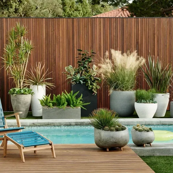 PLANTAS DE EXTERIOR