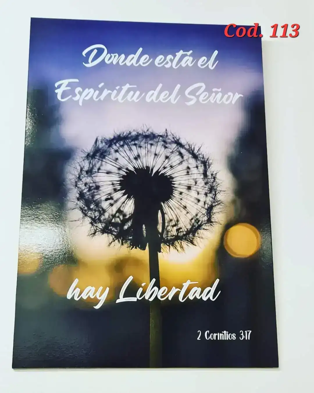 Cuadro simple chico. 44