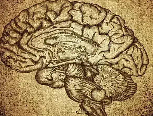 Salud Mental