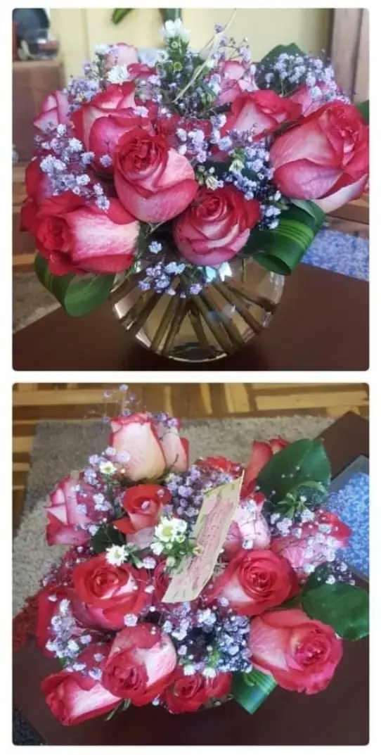 Pecera rosas
