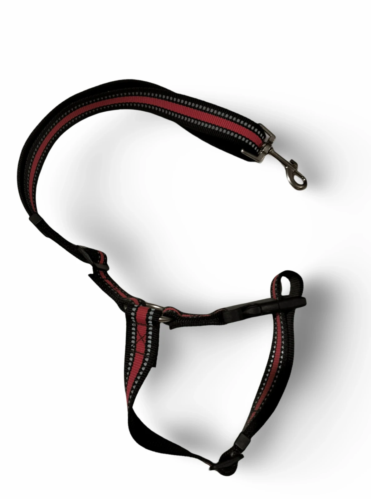 Cinturon de seguridad coche mascotas 3