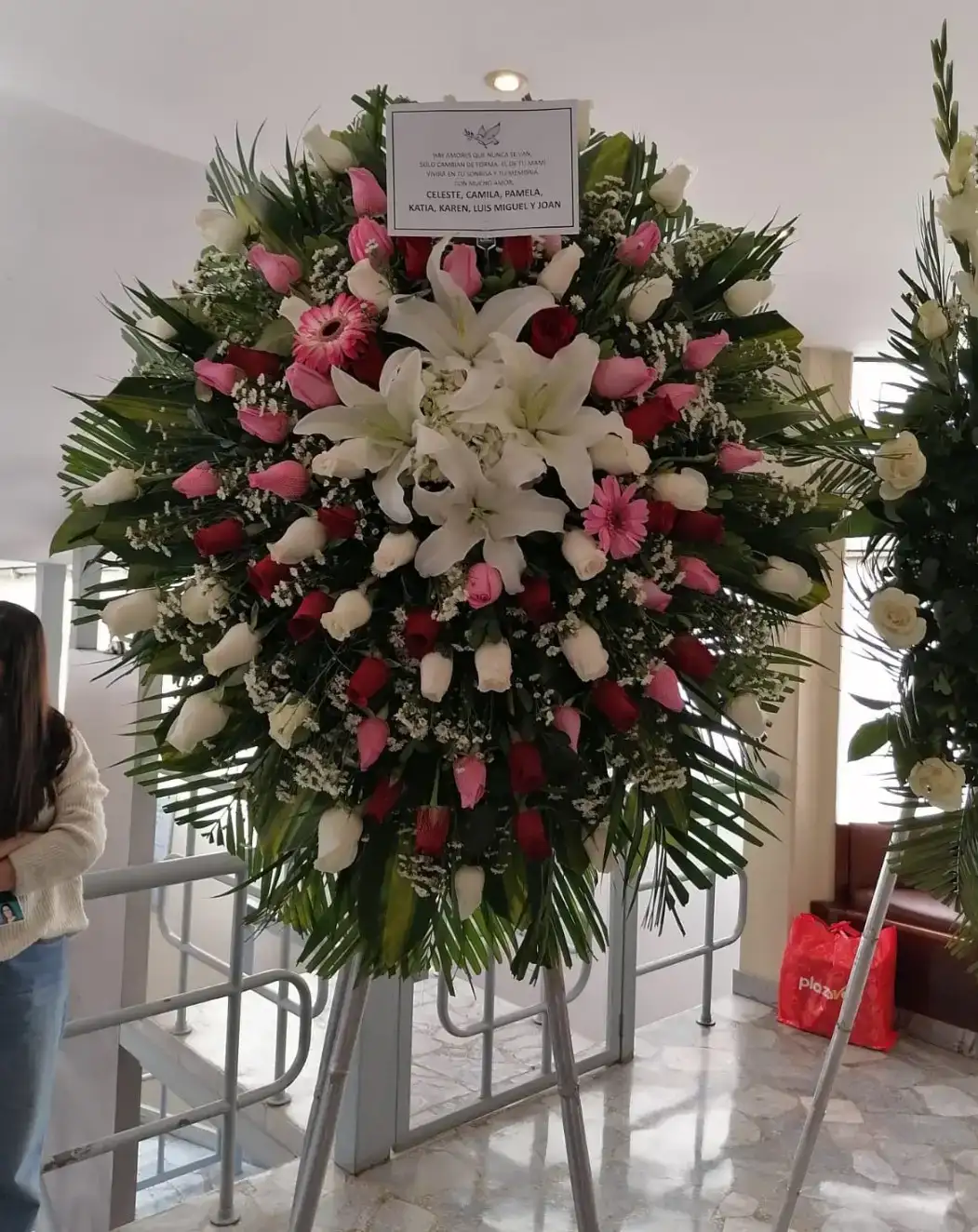 Tripo rosado 