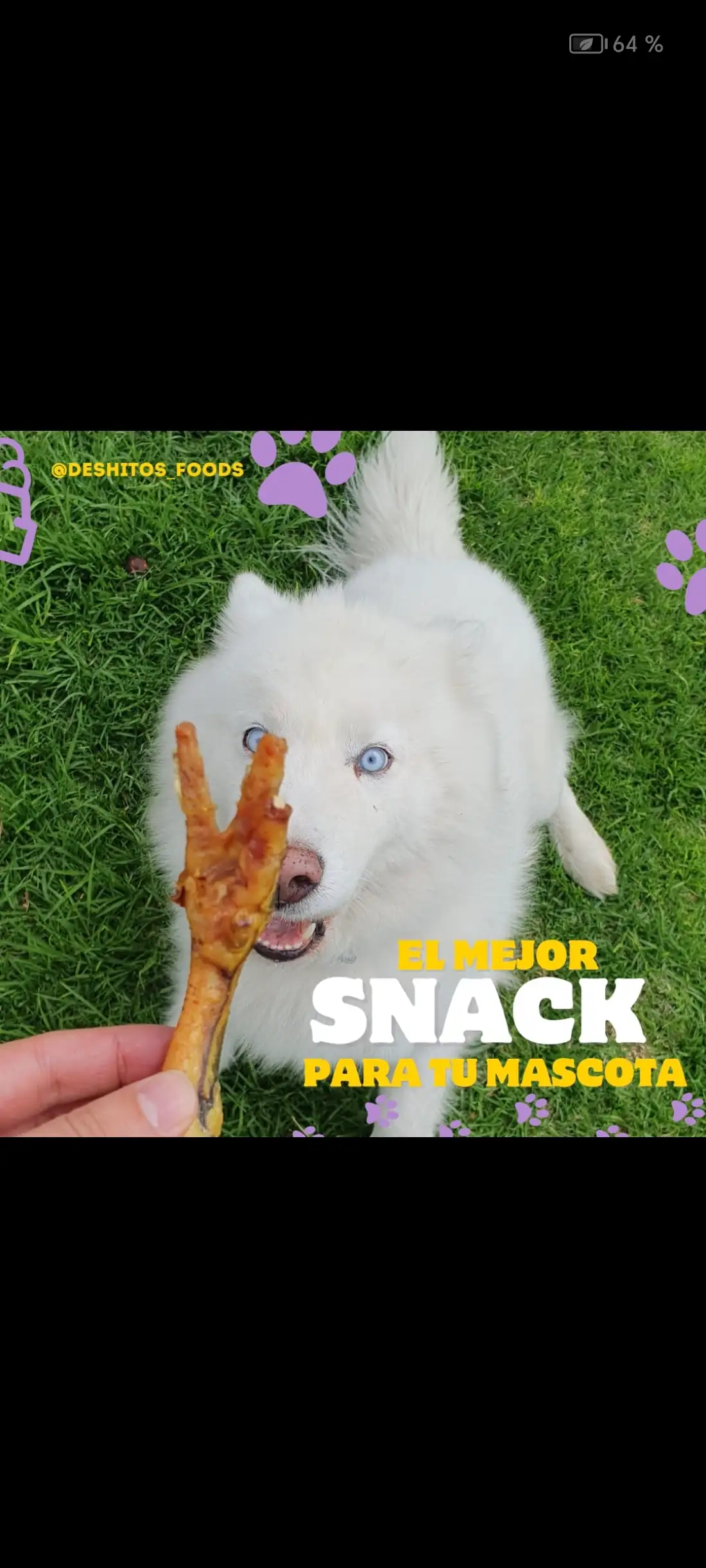 PATITAS DE POLLO DESHIDRATADAS  2