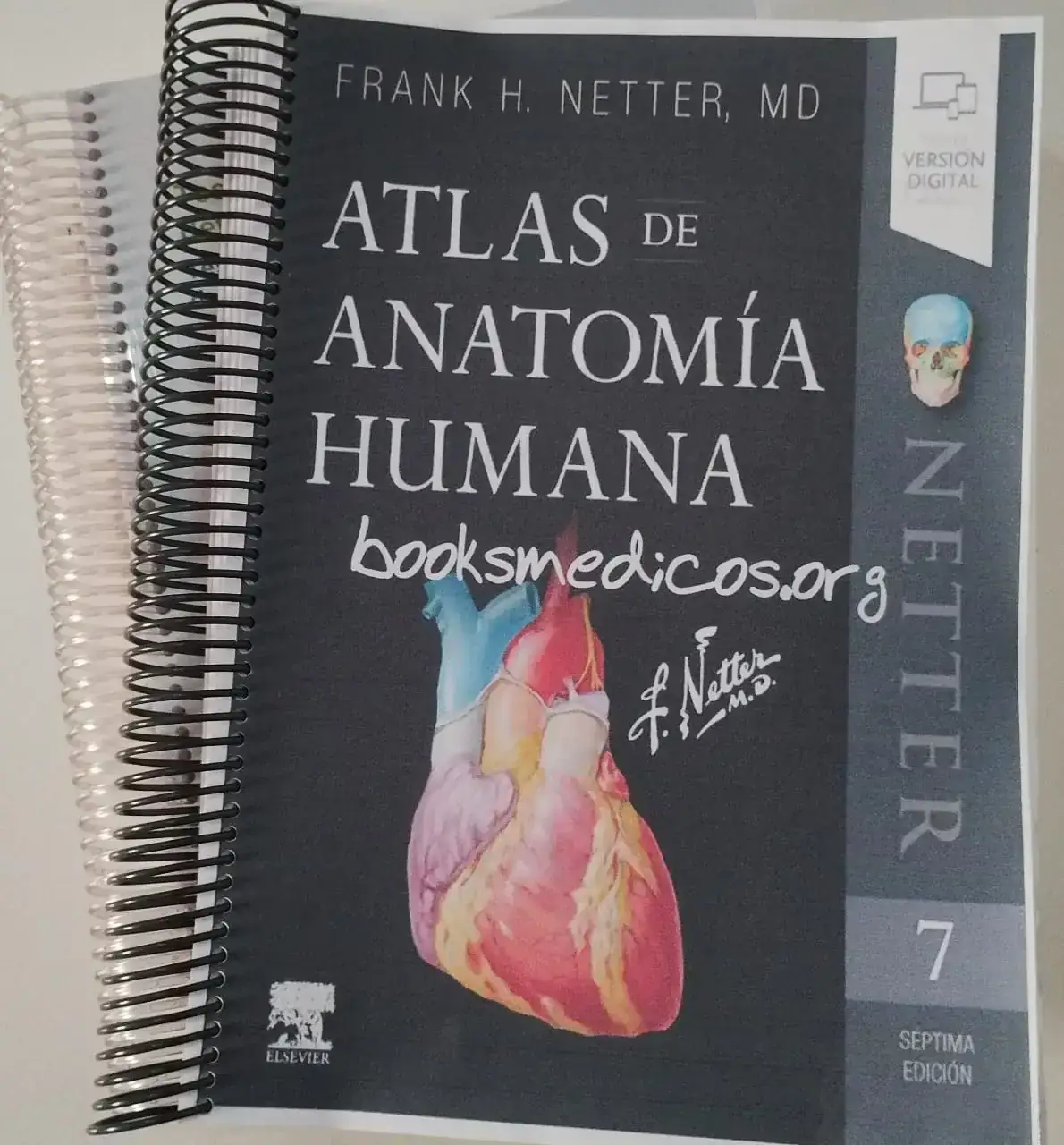 Atlas de Anatomía Humana 7ª Edición 