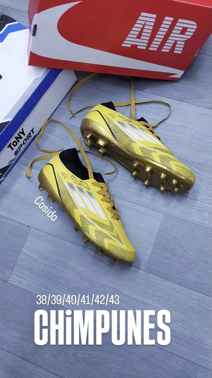 F50 6