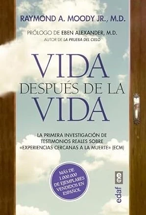 VIDA DESPUES DE LA VIDA