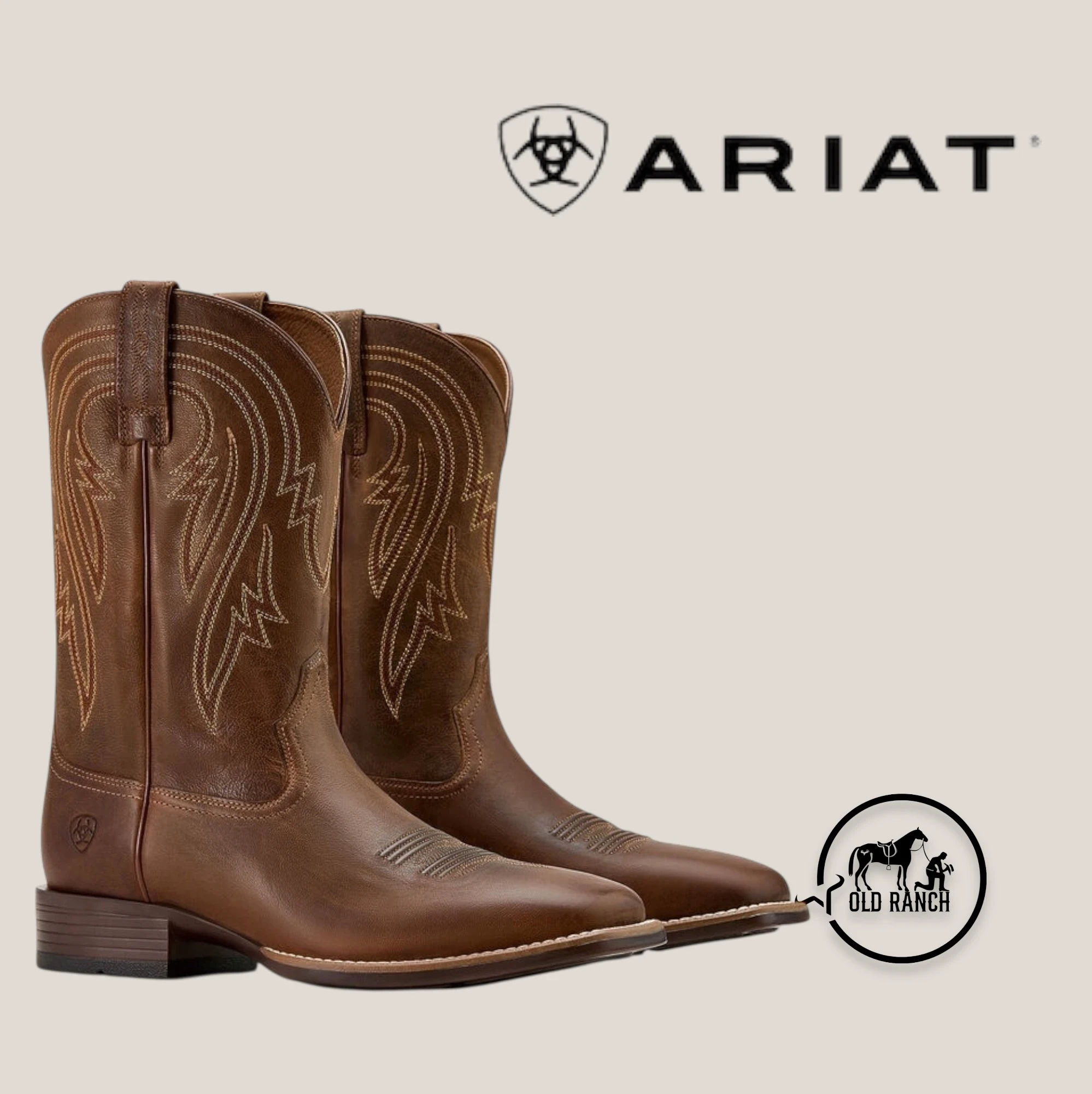 ARIAT 2