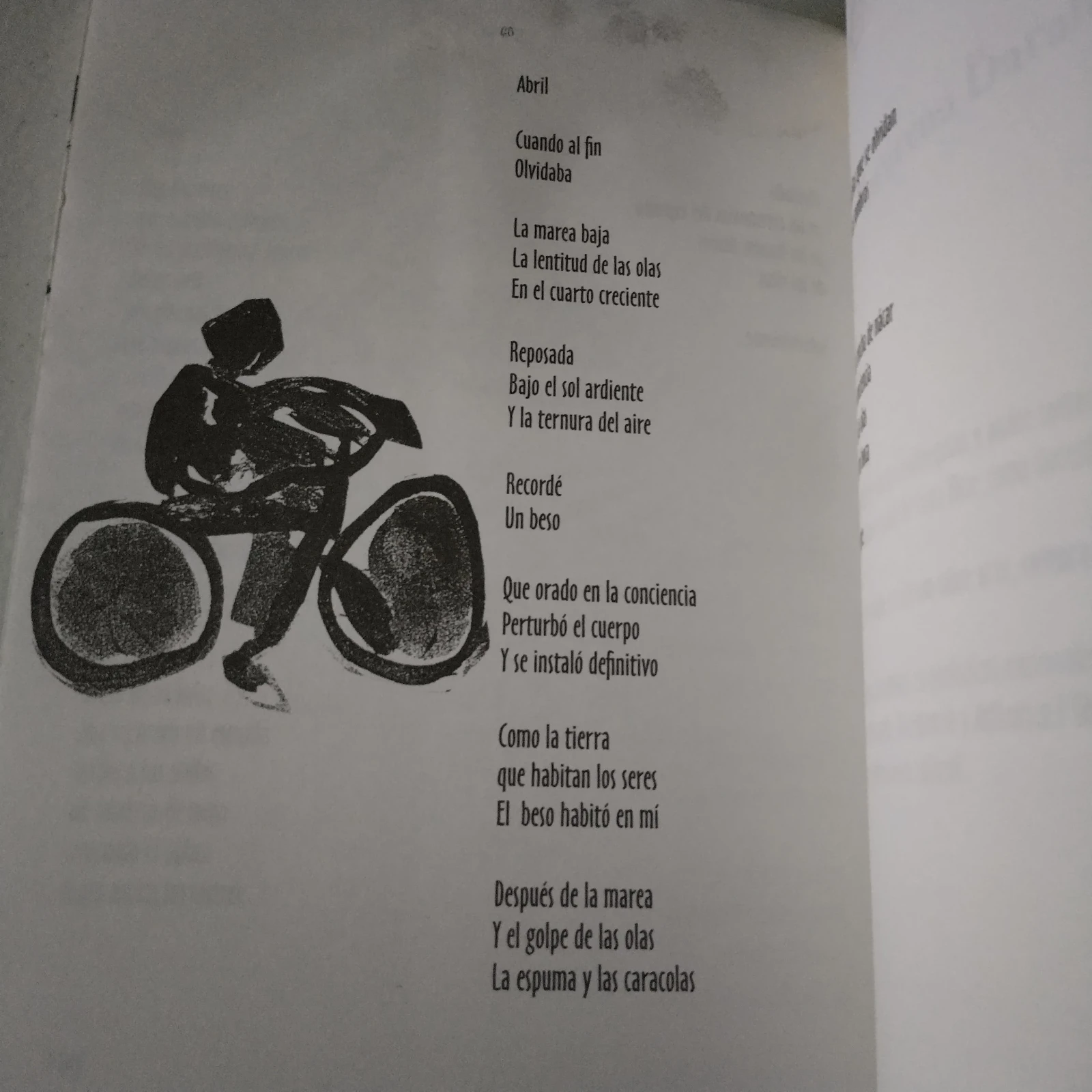 Tak Mewo, Macarena Barahona, usado 3