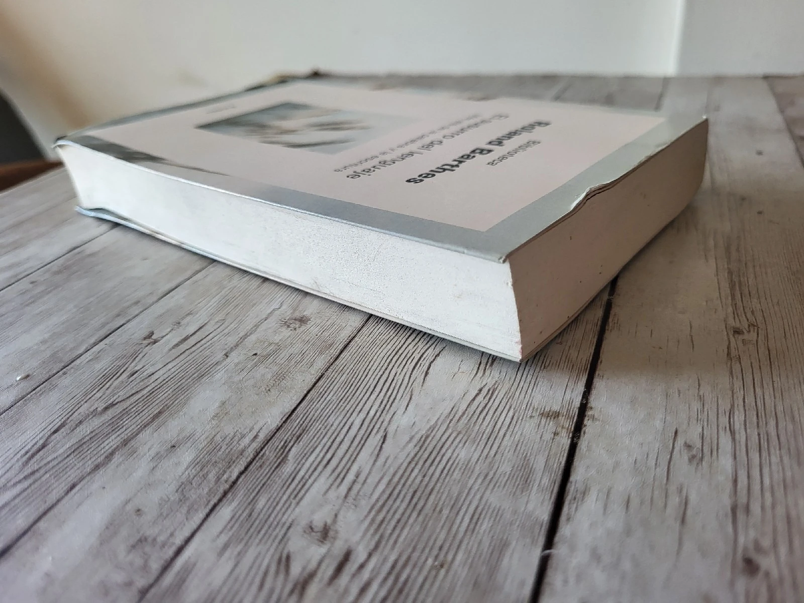 El susurro del lenguaje / Roland Barthes / literatura / Ensayos 3