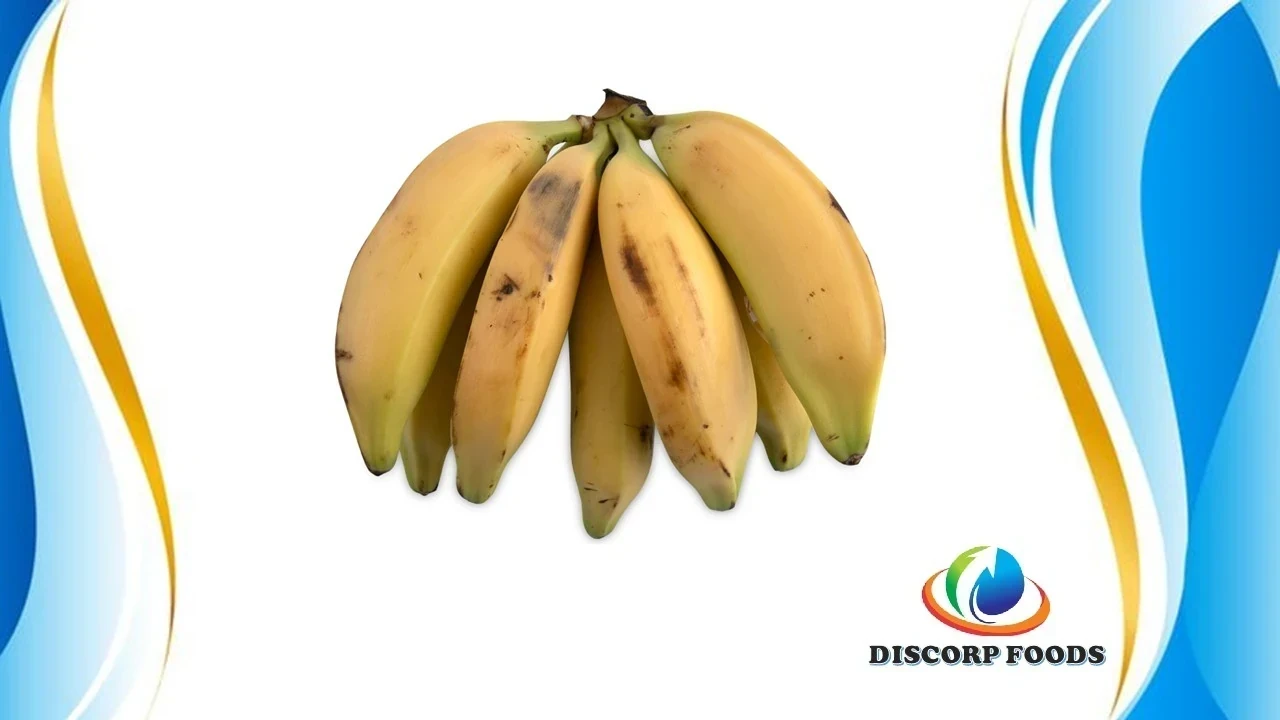 PLATANO ISLA