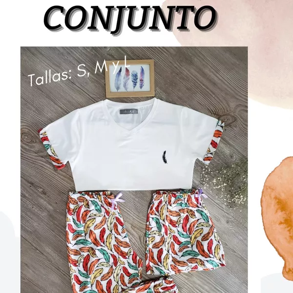 Conjunto pluma colores 