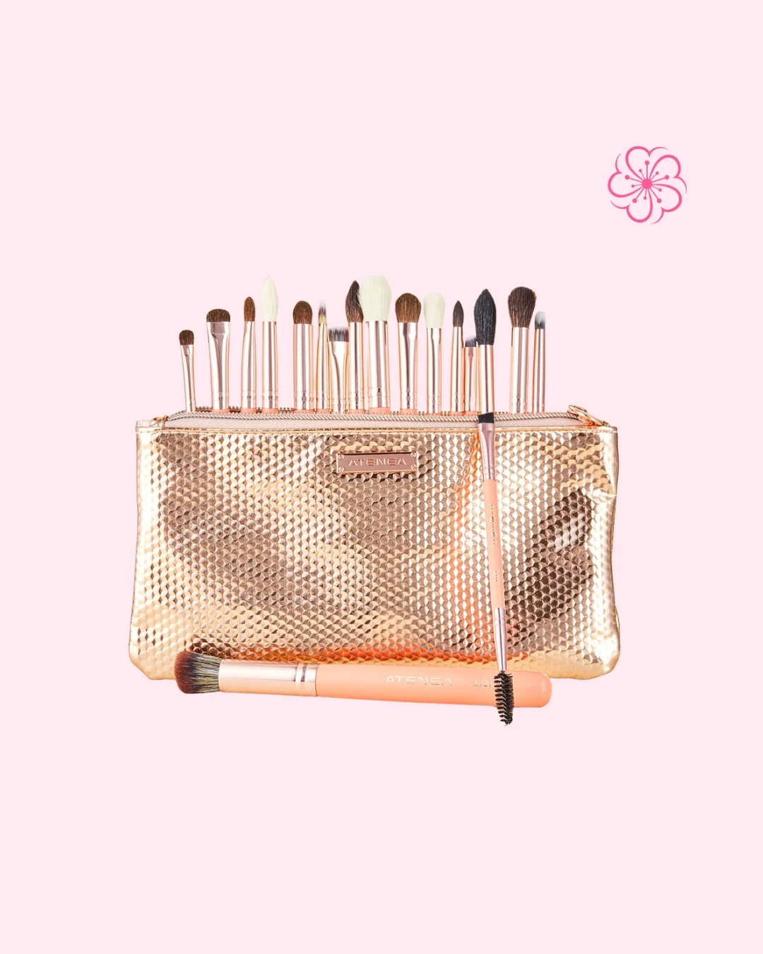Kit de Brochas Coral Life Atenea 