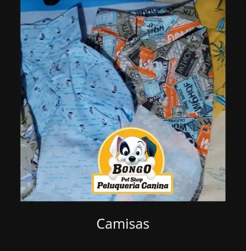 CAMISAS Y CAMISETAS 2