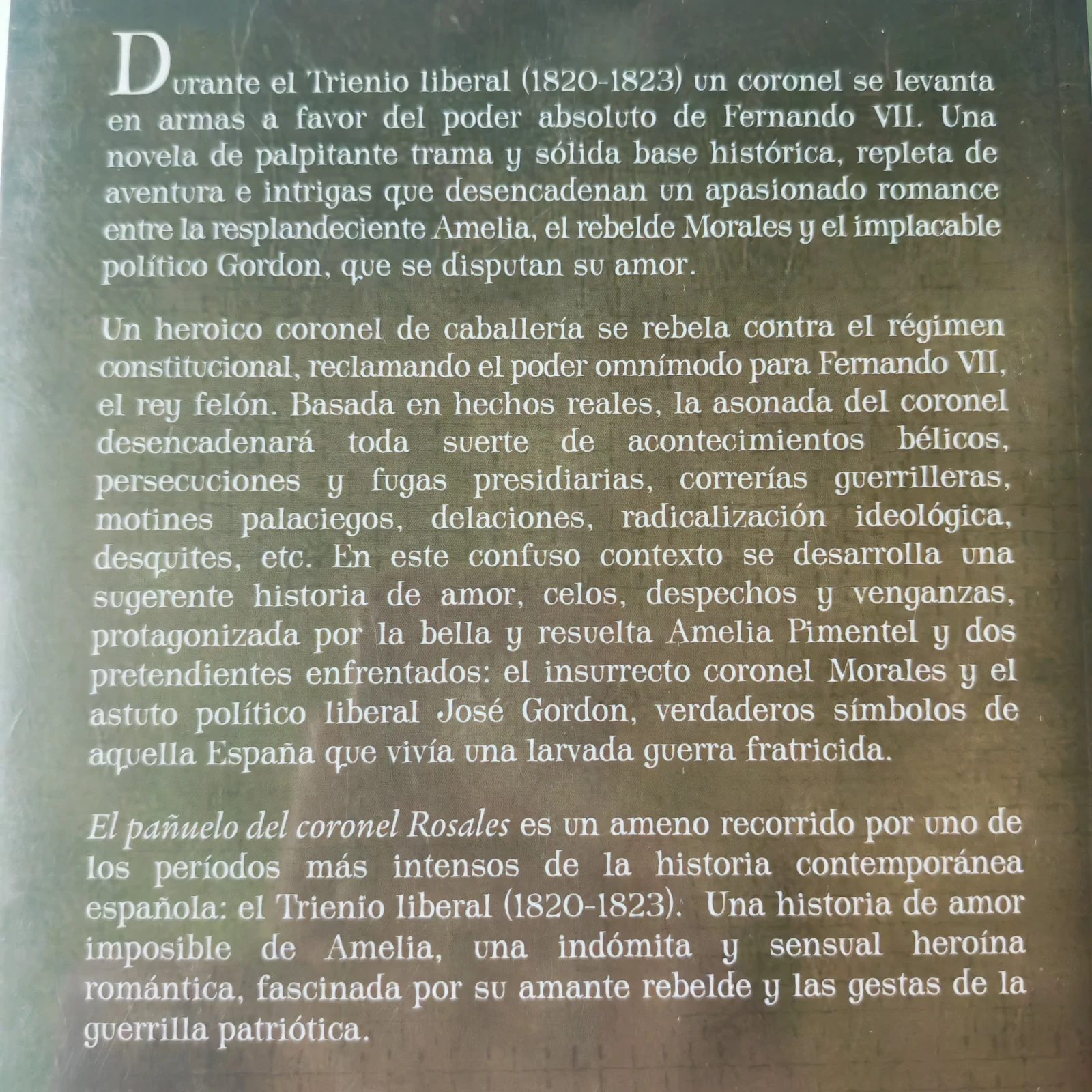 El pañuelo del coronel Rosales Fernando Flores del Manzano  3
