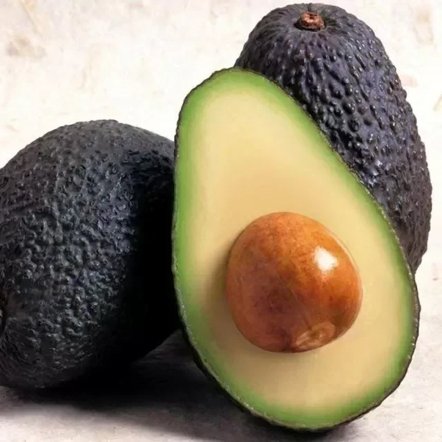 2 PALTA HASS