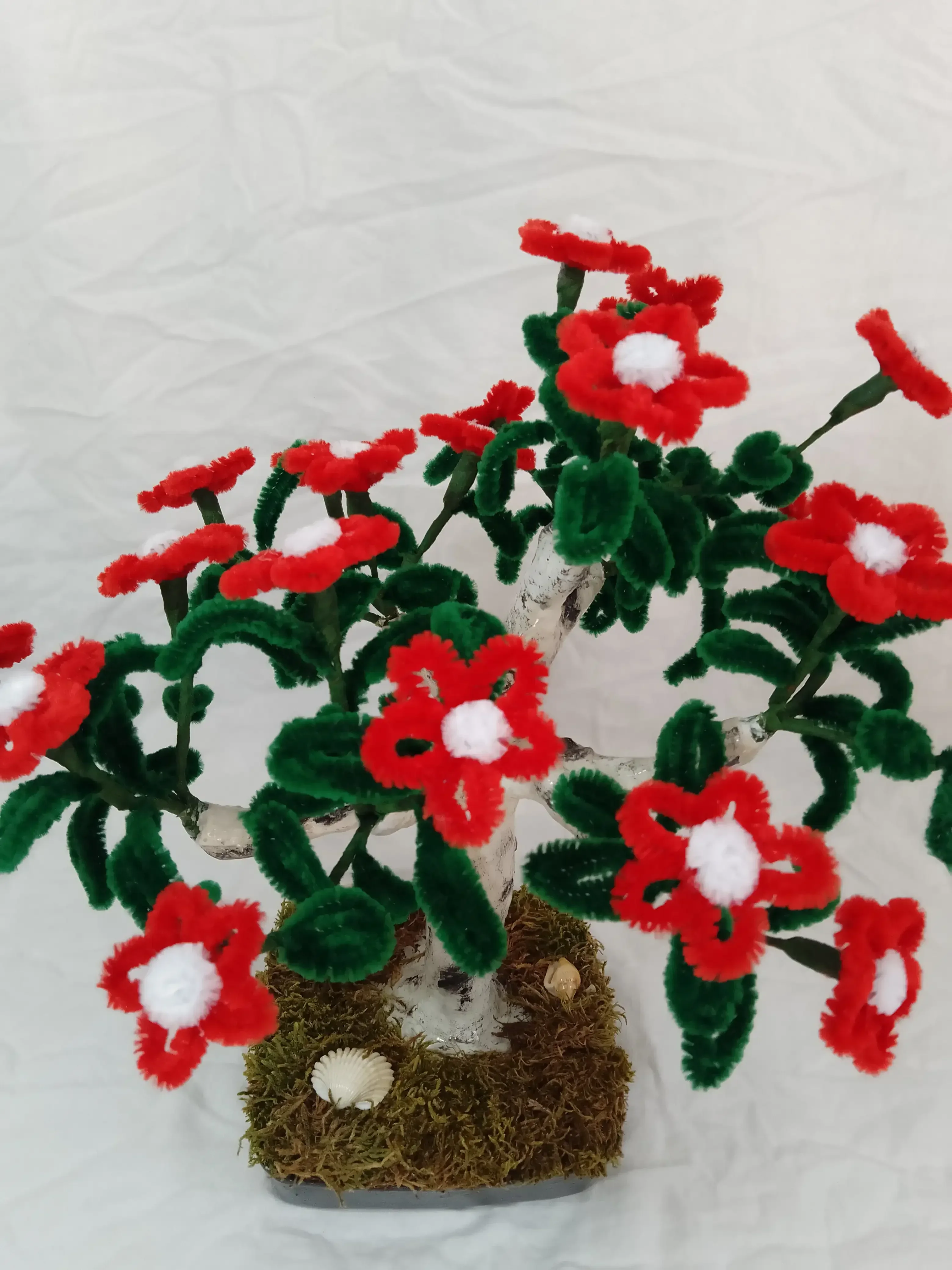 Àrbol Bonsai Margaritas Rojas 2
