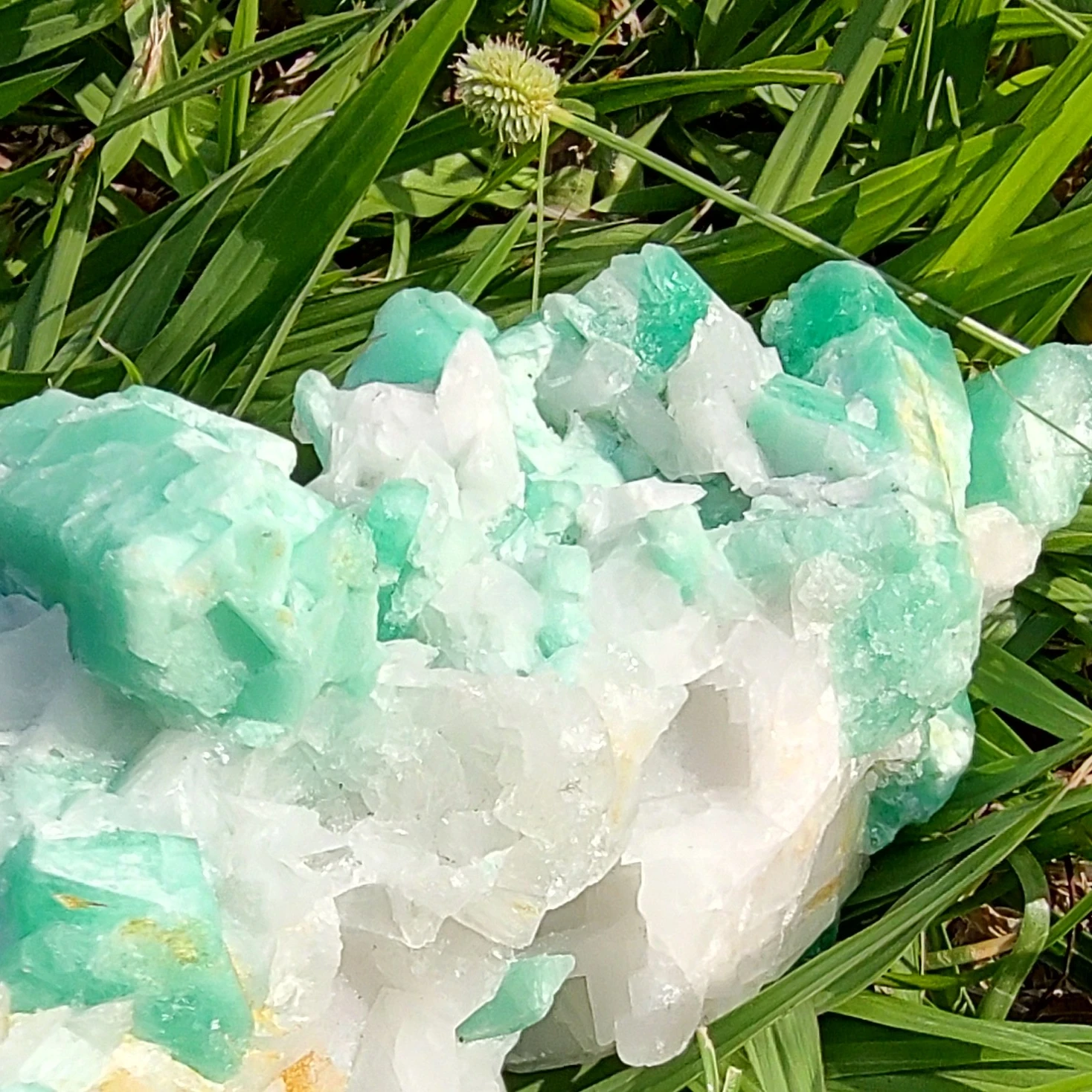 💚 Esmeralda en Matriz - Hermoso Verde Menta 💚 2
