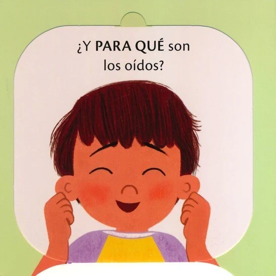 Para que son los oidos 4