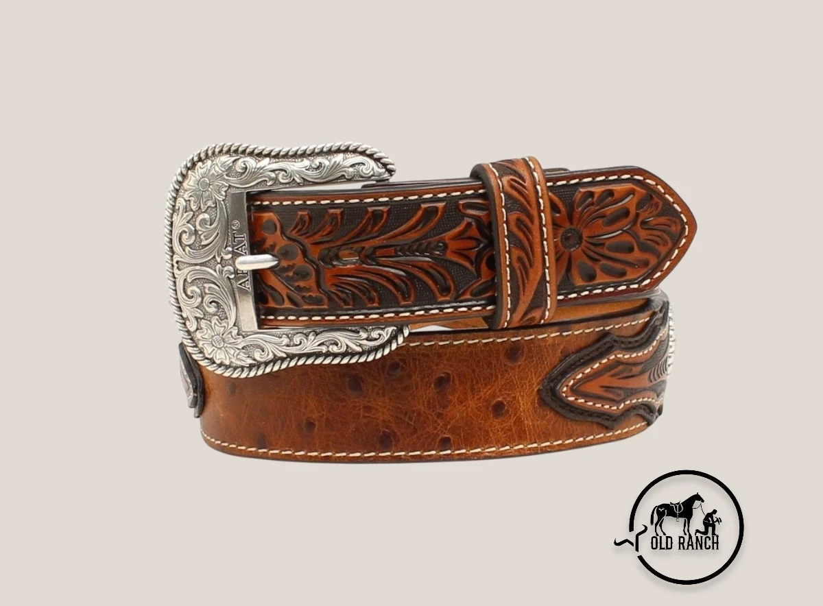 Faja ARIAT 