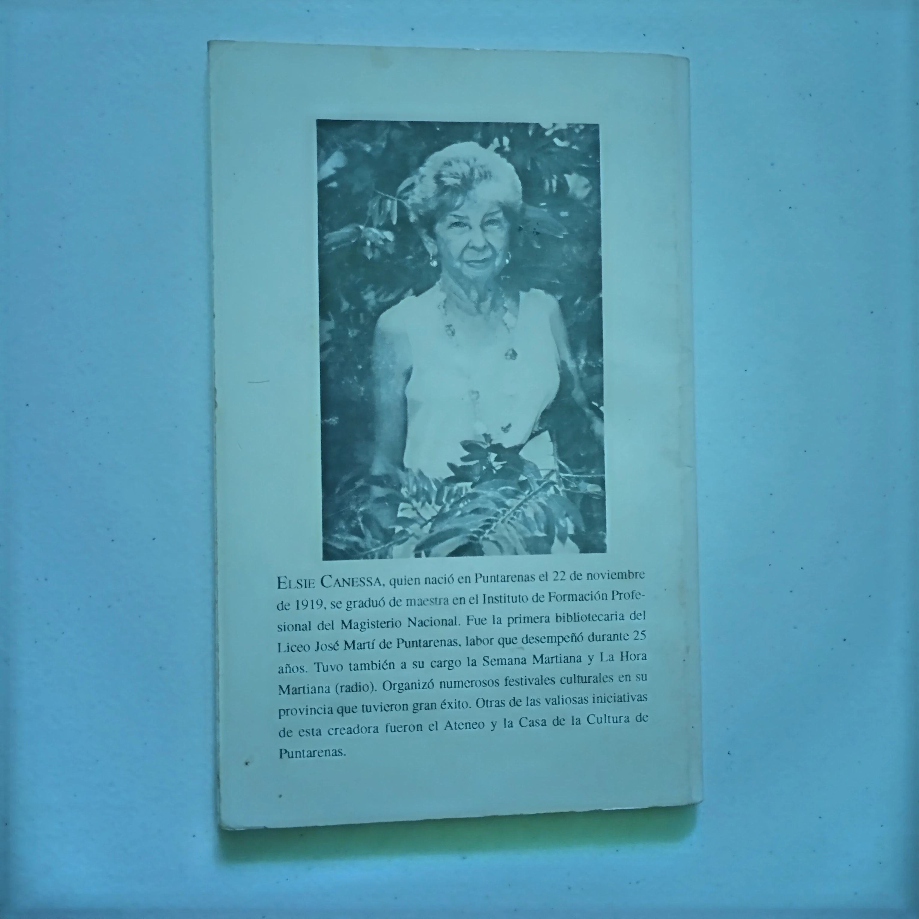 Ventana de arena, Elsie Canesa, usado 2