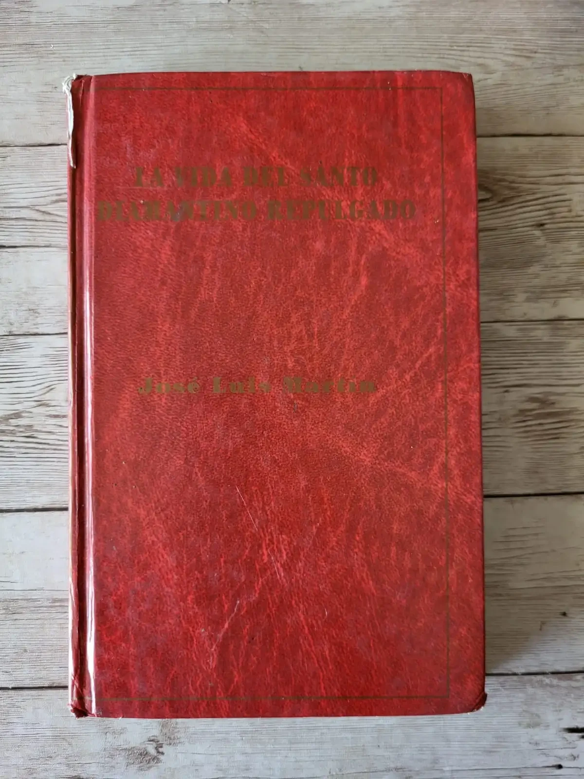 La vida del santo Diamantino Repulgado / José Luis Martín / Ficción narrativa / Sátira 