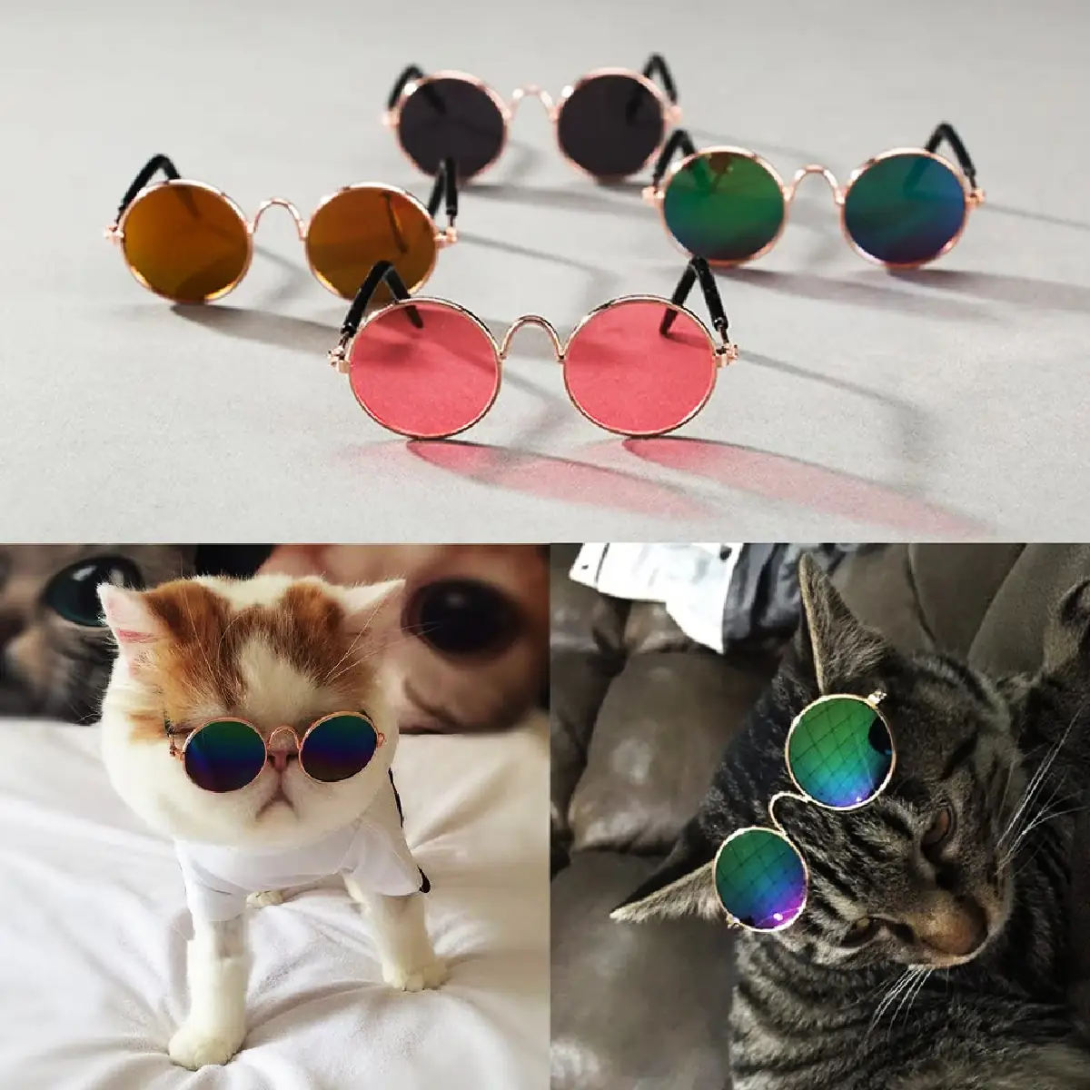 GAFAS DE SOL PARA MASCOTAS  4