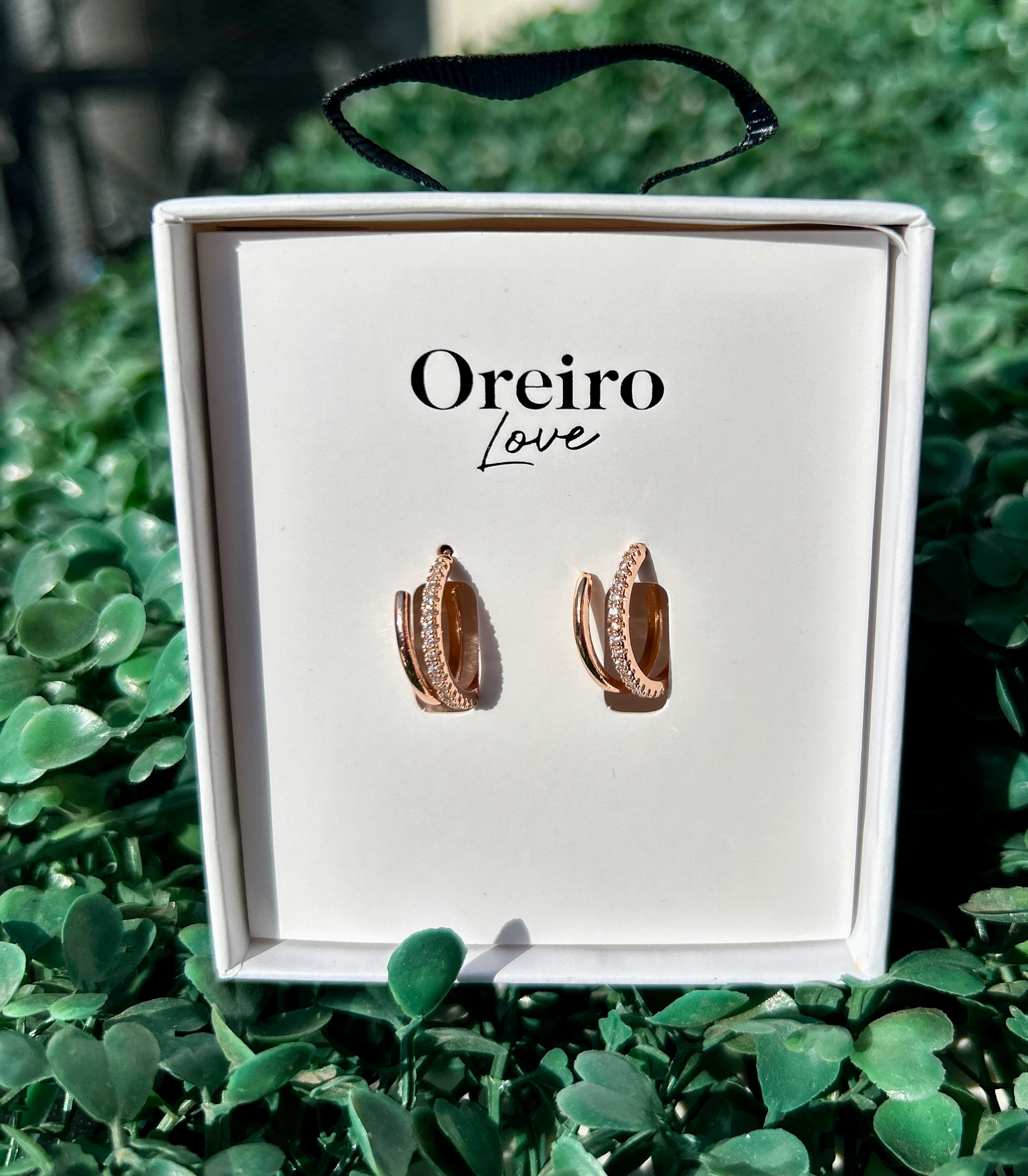 Aro las oreiro 