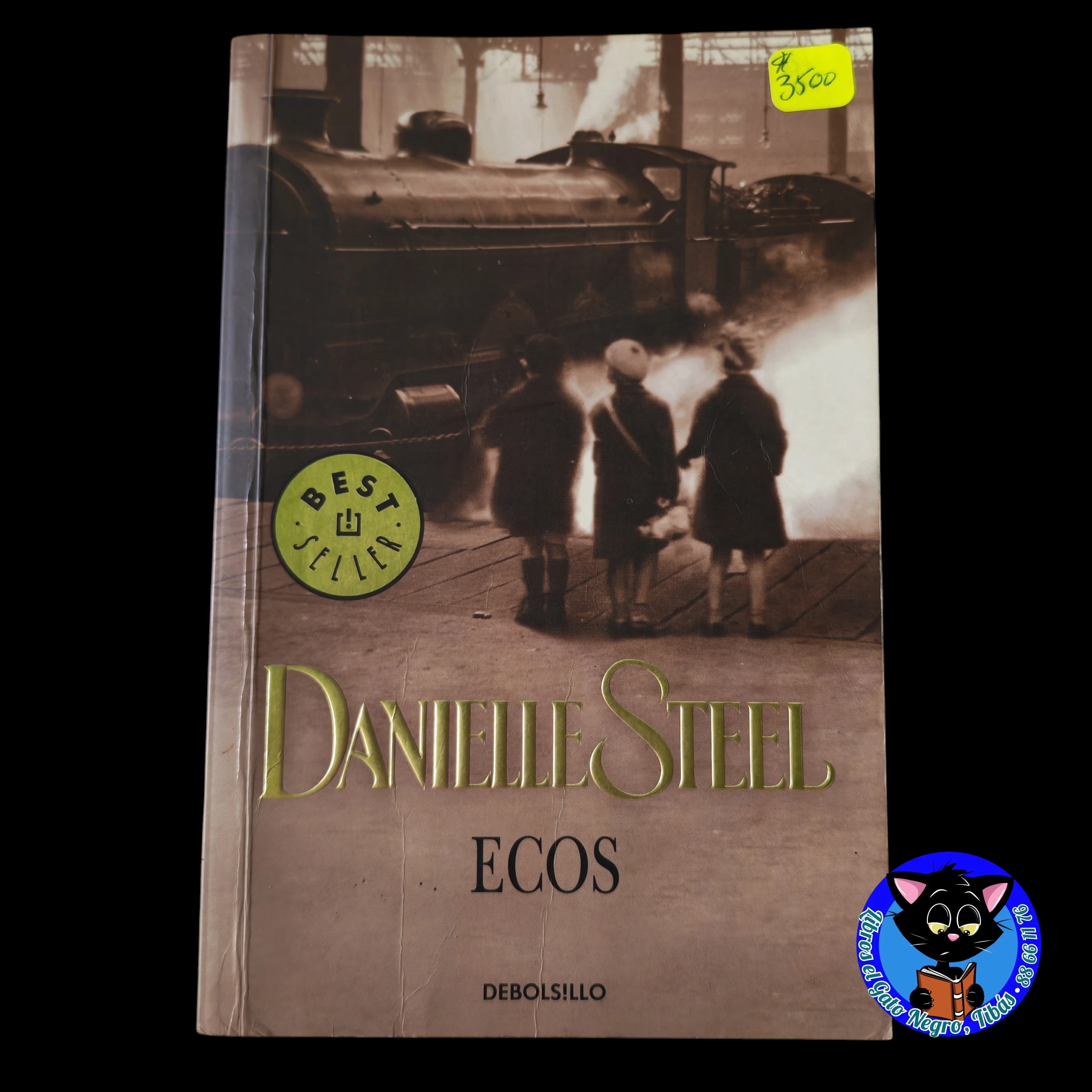 Ecos, Danielle Steel, usado