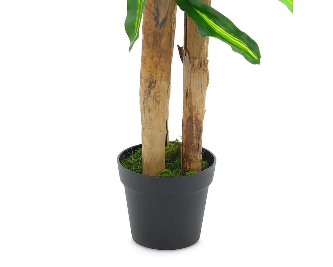 Planta Palo de Brasil 180cm Artificial vista natural  2