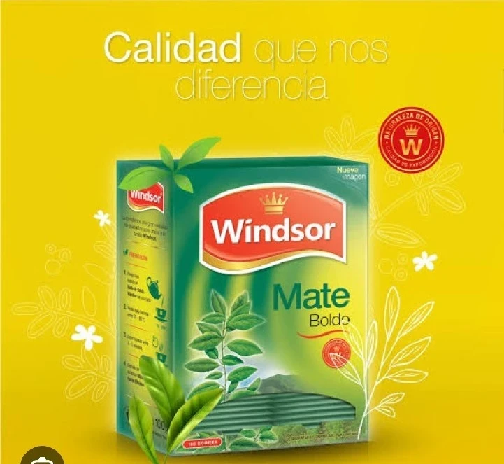 MATE DE BOLDO X100 WINDSOR