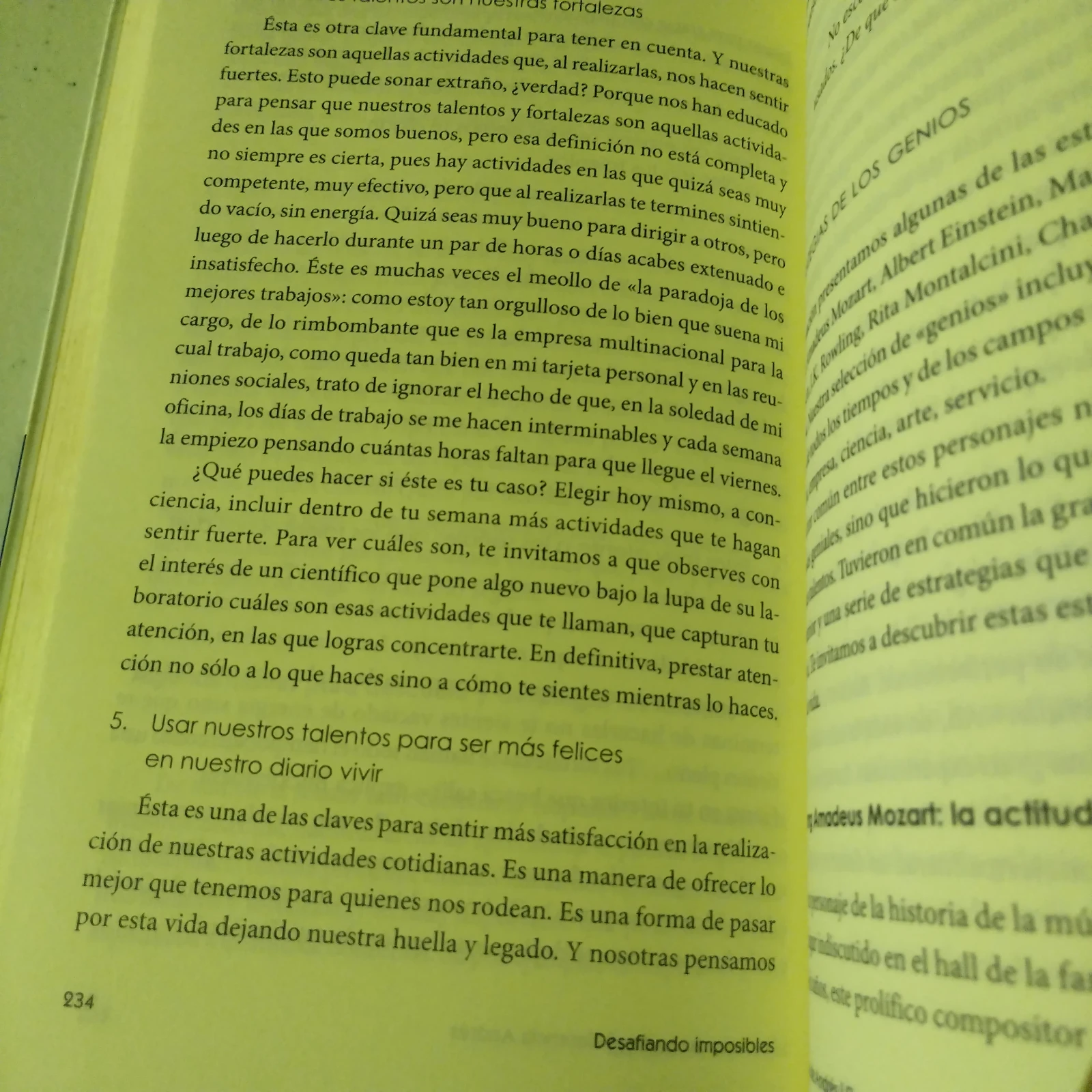 Desafiando imposibles, Verónica de Andres, Florencia Andres, usado 3